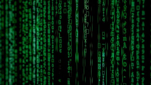 Persona effettua ricerca online con strumento di intelligenza artificiale