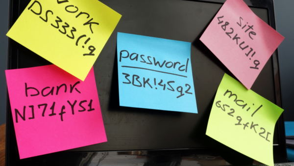 come funziona password manager