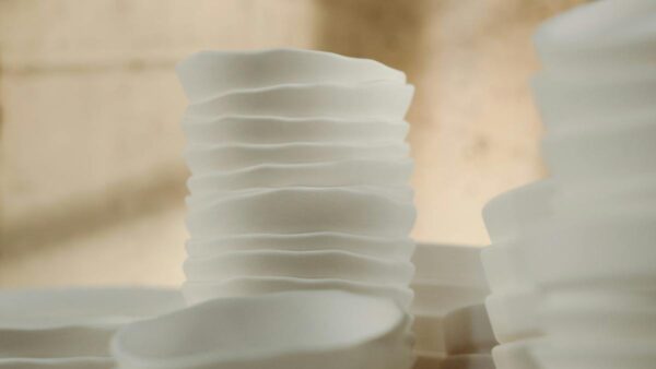 Grafica vettoriale SVG per il web design