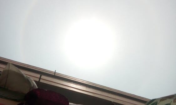 Cos'è la SEO: guida per principianti al posizionamento sui motori di ricerca