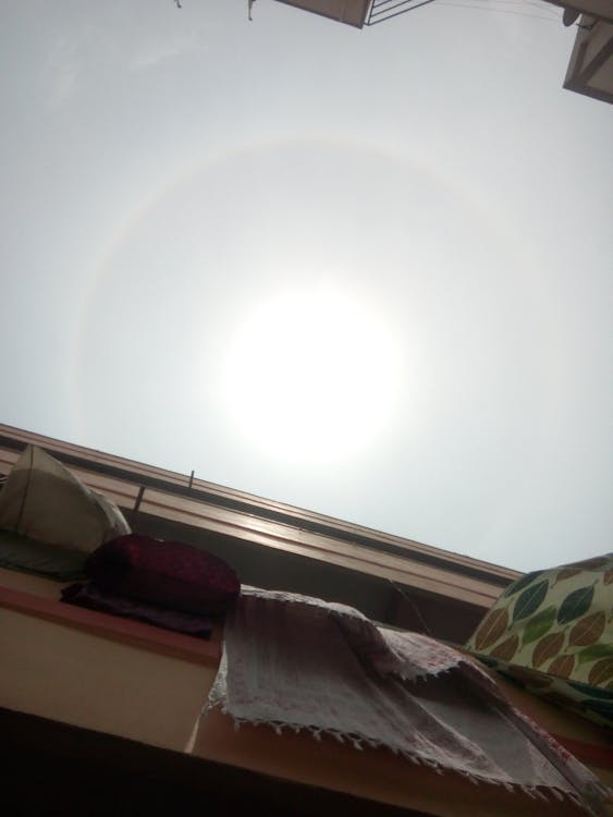 Cos'è la SEO: guida per principianti al posizionamento sui motori di ricerca