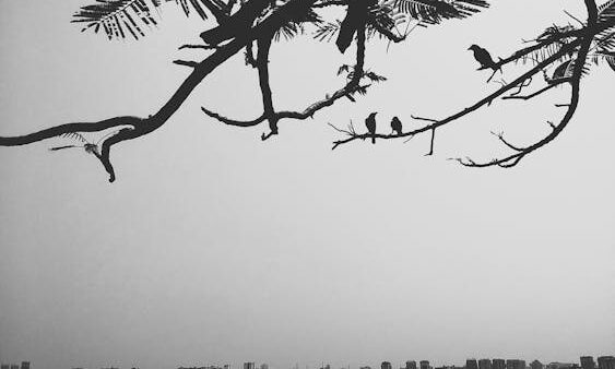 URL SEO-friendly: come strutturare gli indirizzi del tuo sito