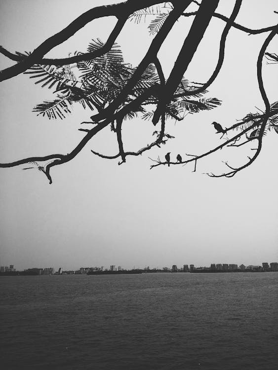 URL SEO-friendly: come strutturare gli indirizzi del tuo sito