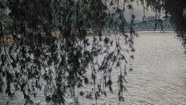 Domain Authority e Page Authority: cosa sono e come migliorarli