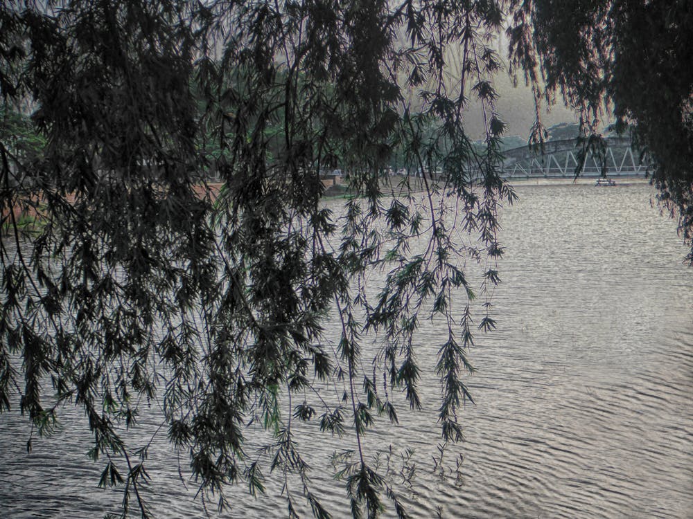 Domain Authority e Page Authority: cosa sono e come migliorarli