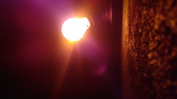 Google Discover: cos'è e come ottenere traffico organico