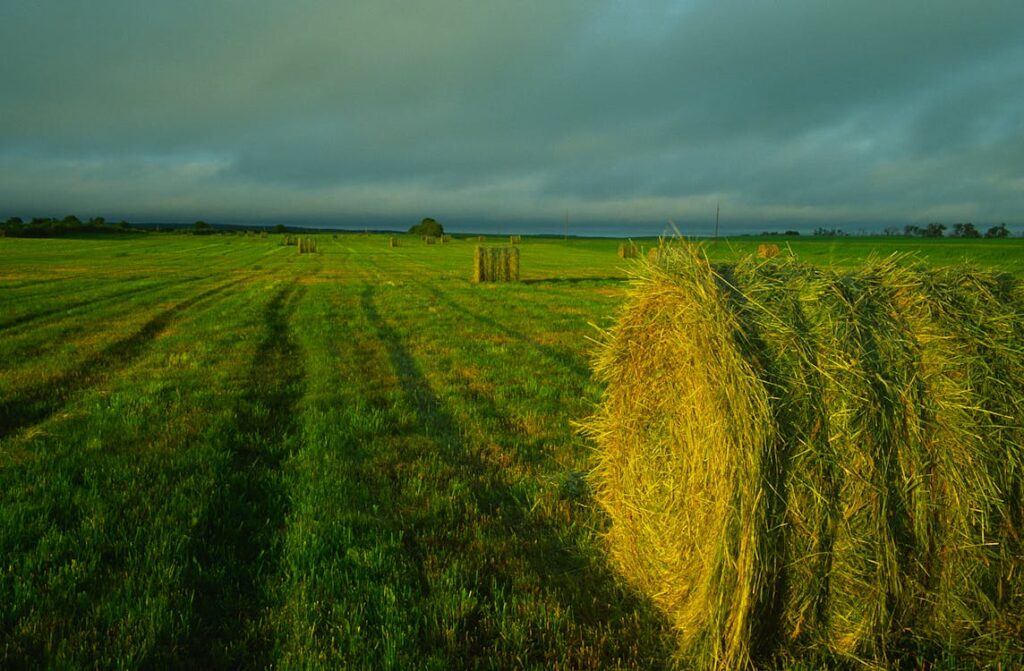 Come impostare Google Search Console per WordPress: guida completa