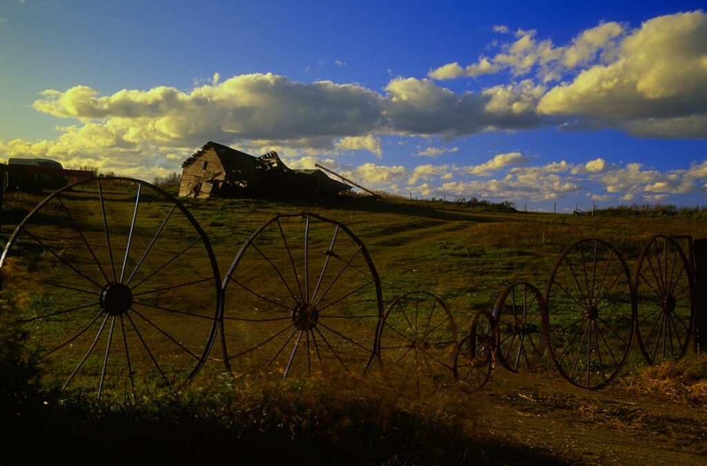 Long tail keywords: cosa sono e perché convertono di più