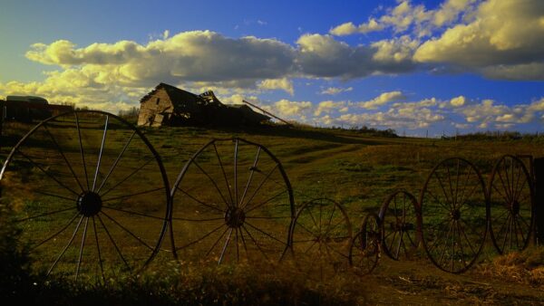 Long tail keywords: cosa sono e perché convertono di più