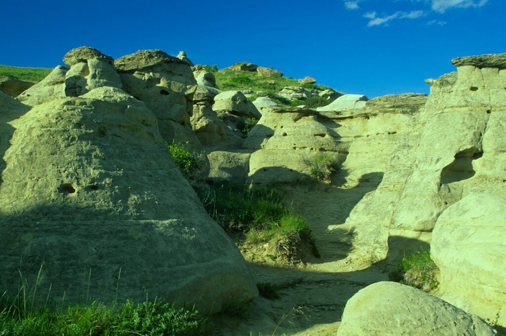 Cos'è il CTR e come migliorarlo nelle SERP