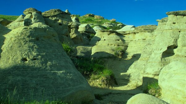 Cos'è il CTR e come migliorarlo nelle SERP