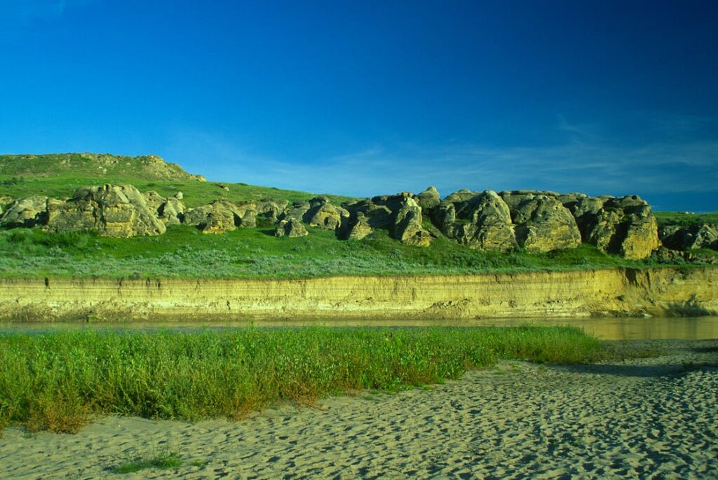 SEO e social media: come i social influenzano il posizionamento