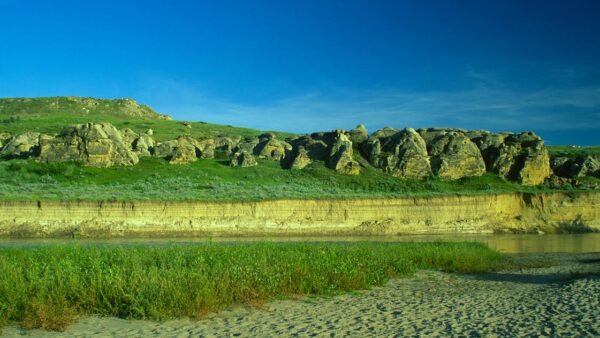 SEO e social media: come i social influenzano il posizionamento