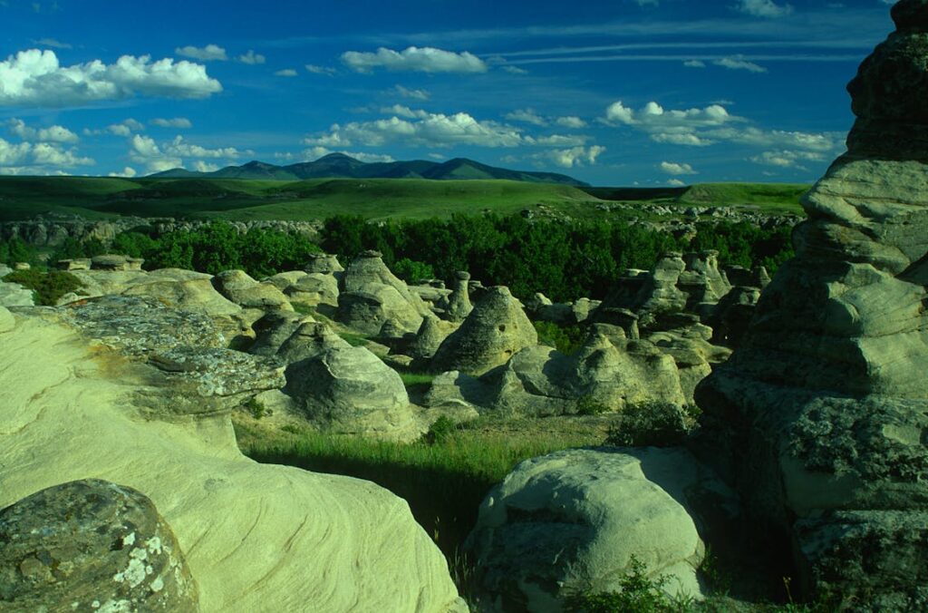 Rich snippet: cosa sono e come ottenerli su Google