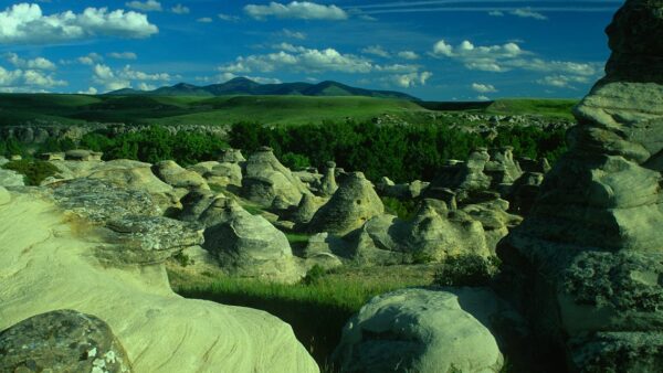 Rich snippet: cosa sono e come ottenerli su Google