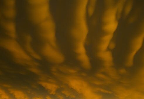 Google PageRank: storia, funzionamento e rilevanza attuale