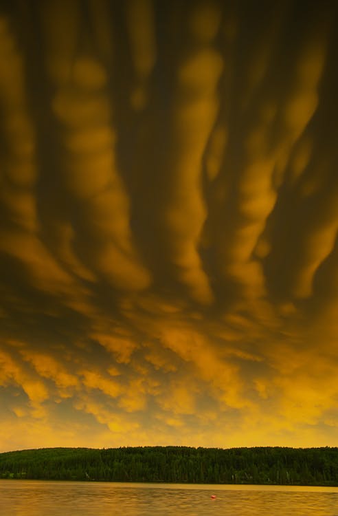 Google PageRank: storia, funzionamento e rilevanza attuale