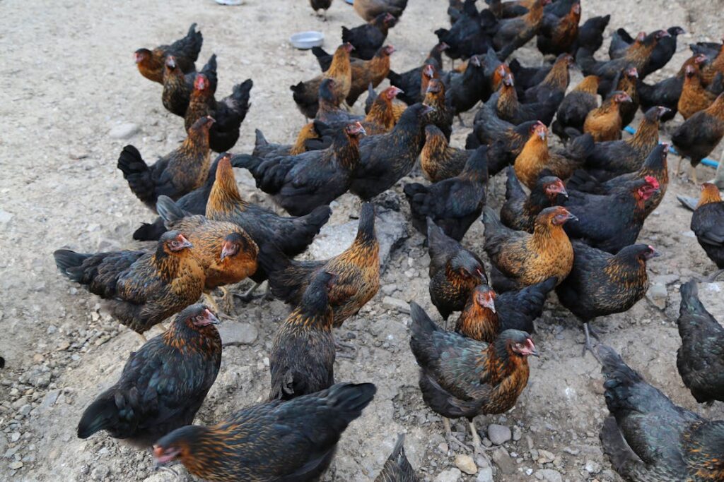 Breadcrumb: cosa sono e perché sono importanti per la SEO