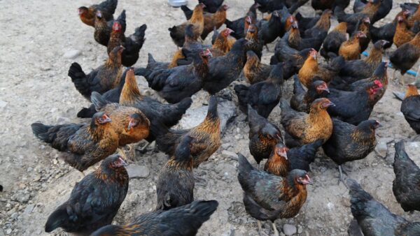 Breadcrumb: cosa sono e perché sono importanti per la SEO