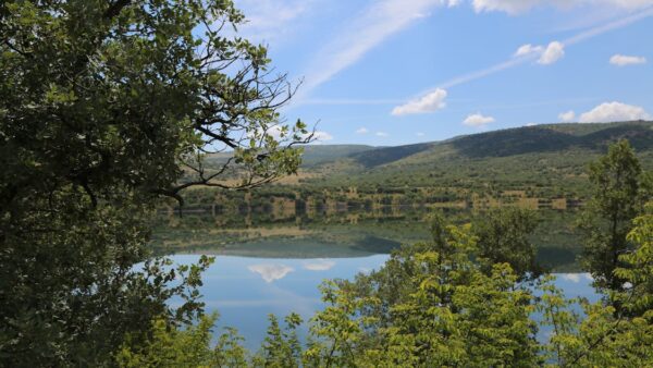 Cloaking e doorway pages: tecniche SEO black hat da evitare