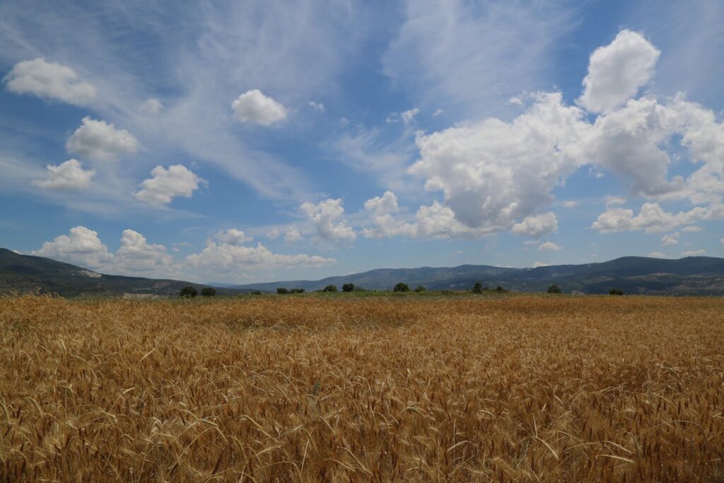 Off-page SEO: tutte le tecniche oltre la link building