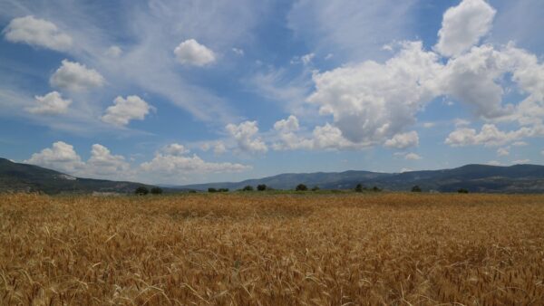 Off-page SEO: tutte le tecniche oltre la link building