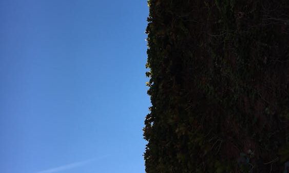 Come analizzare il traffico organico con Google Analytics