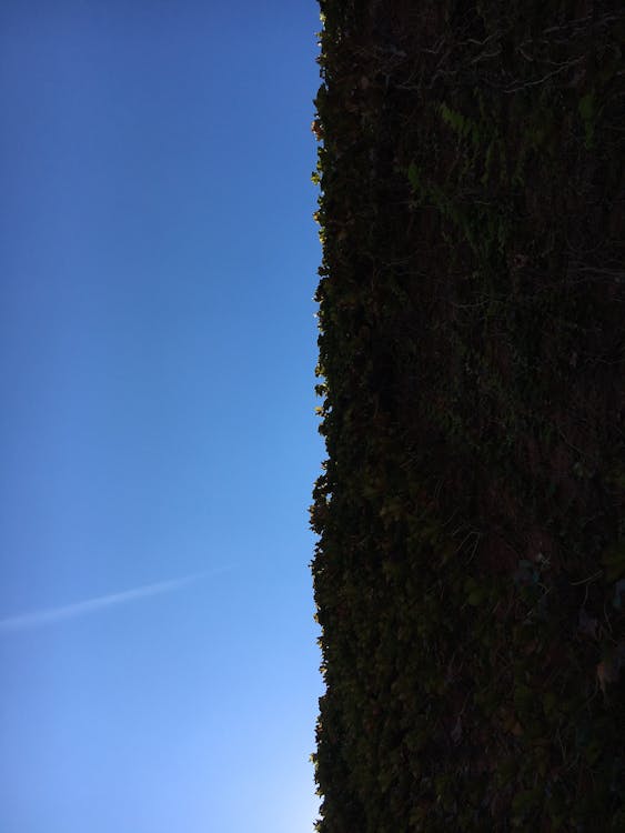 Come analizzare il traffico organico con Google Analytics