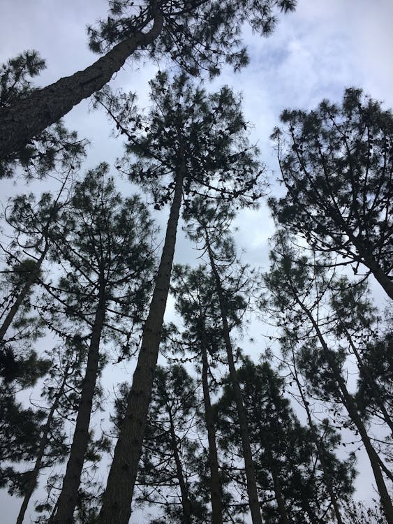 EAT: il fattore di ranking di Google per esperienza, autorevolezza e affidabilità