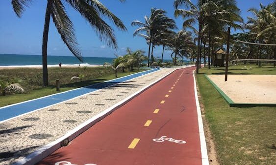 Google Immagini: come posizionare le tue foto nei risultati di ricerca