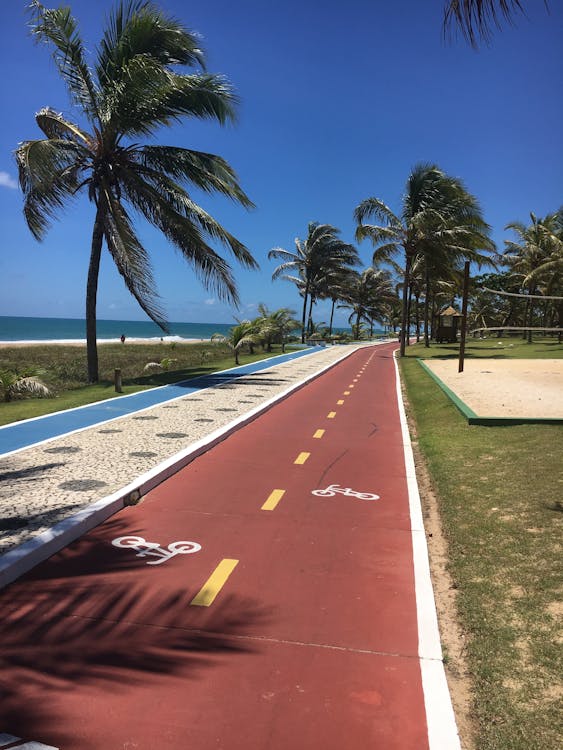 Google Immagini: come posizionare le tue foto nei risultati di ricerca