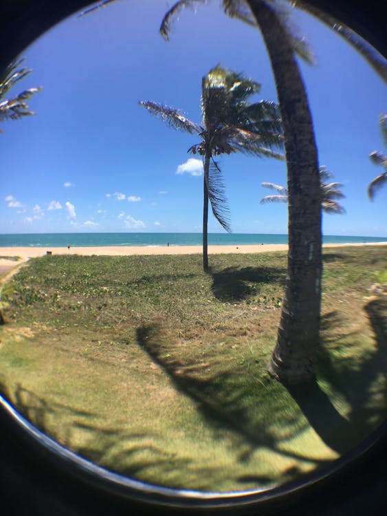 Come creare una strategia di content pillar per la SEO