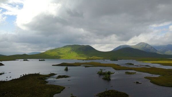 SEO copywriting: come scrivere testi che piacciono a Google e agli utenti