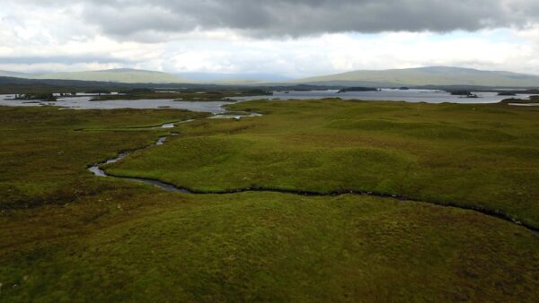 Come usare i dati strutturati FAQ per le domande frequenti