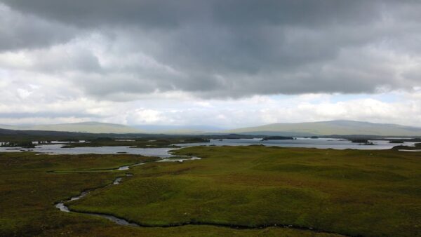 Cos'è il Google Sandbox e come influenza i nuovi siti