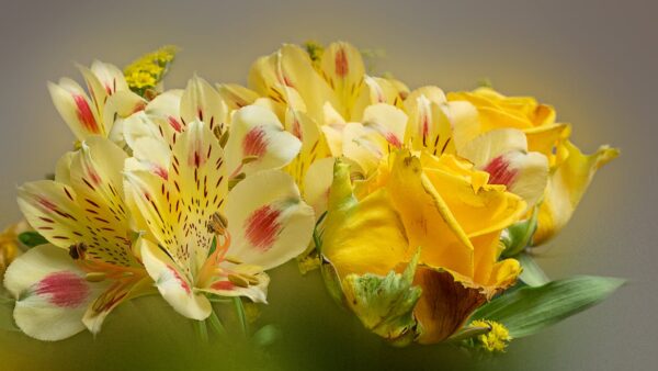 Come ottimizzare la homepage per la SEO