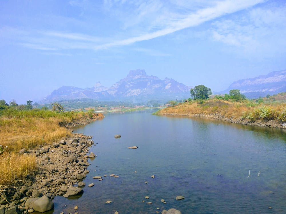 March 2025 Core Update: analisi e impatto sui siti italiani