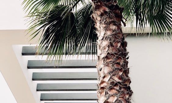 Search everywhere optimization: SEO su TikTok, Reddit, YouTube e social