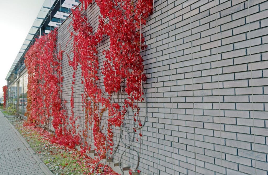 Cosa sono i backlink e perché sono importanti per il posizionamento