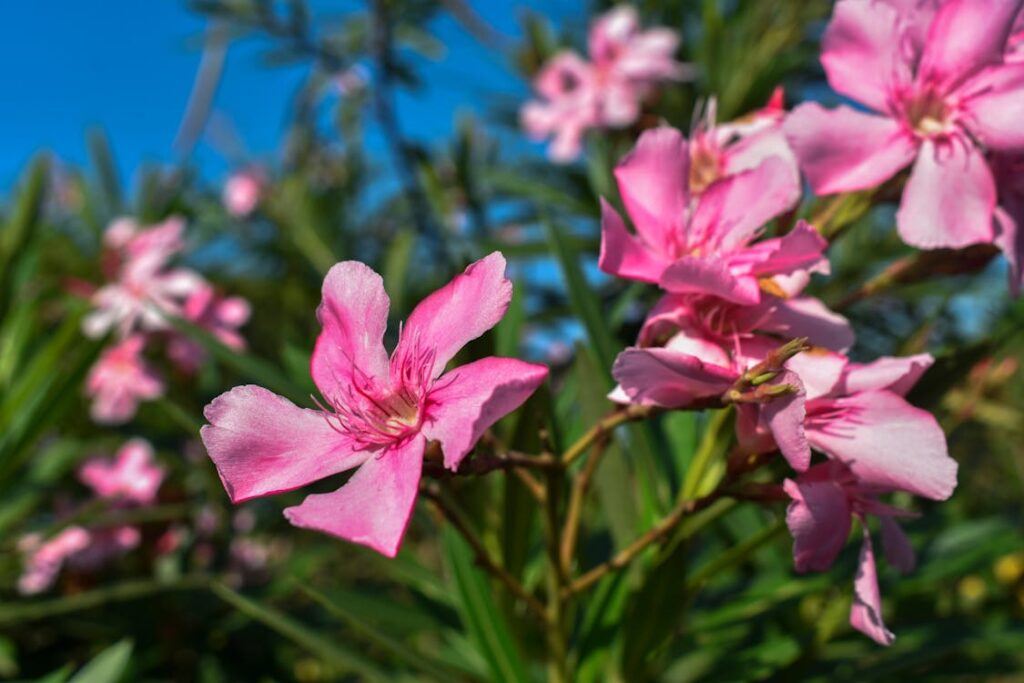 Cos'è Google Search Console e perché ogni sito ne ha bisogno