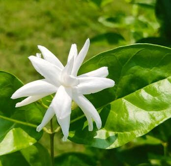 Bing Webmaster Tools: guida alla registrazione e configurazione