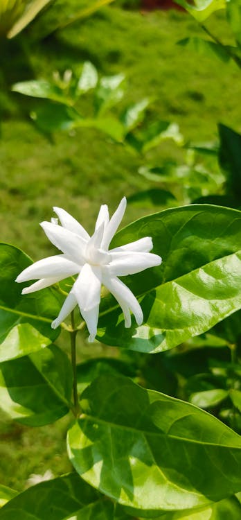 Bing Webmaster Tools: guida alla registrazione e configurazione