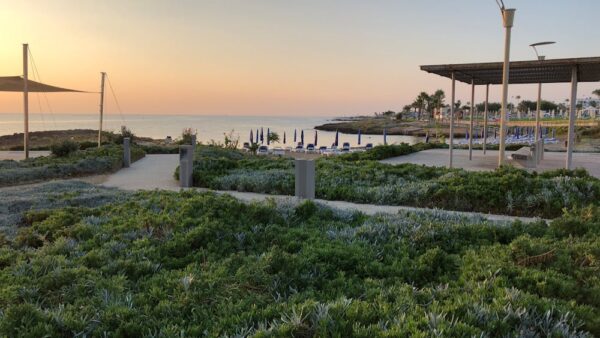 Come funziona l'algoritmo di Google: i fattori di ranking principali