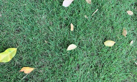 Cosa sono le SERP: capire la pagina dei risultati di Google