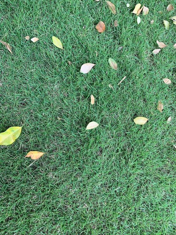 Cosa sono le SERP: capire la pagina dei risultati di Google