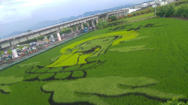 Come creare una sitemap XML e inviarla a Google