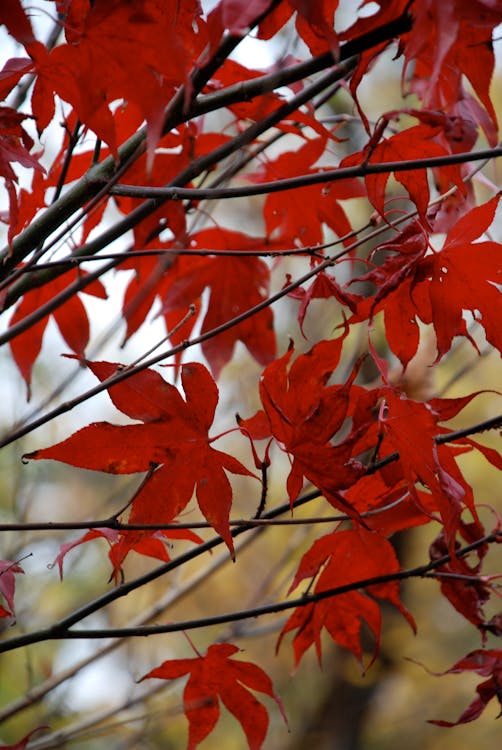 Come scrivere un title tag perfetto per la SEO