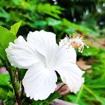 Cos'è il file .htaccess e come usarlo per la SEO