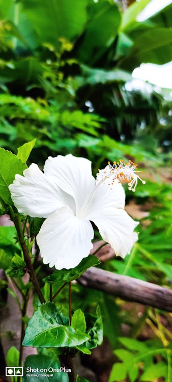 Cos'è il file .htaccess e come usarlo per la SEO