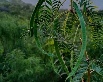 Come configurare Google Tag Manager per tracciare gli eventi SEO